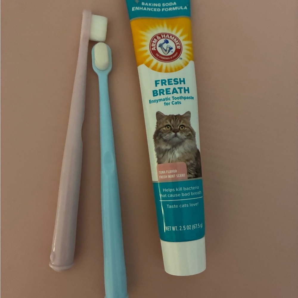 Arm & Hammer Fresh Breath Cat Toothpaste and Toothbrush Set - Pink and Blue